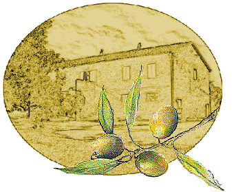 Olio extra-vergine di olive