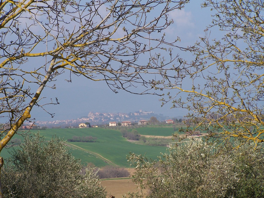 Agriturismo Poggio del Papa - Castiglione del lago - Perugia