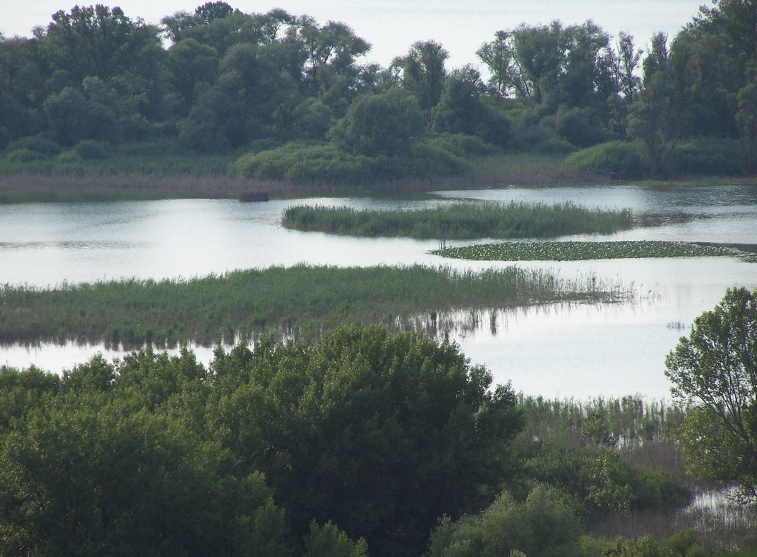 Agriturismo Poggio del Papa - Castiglione del lago - Perugia