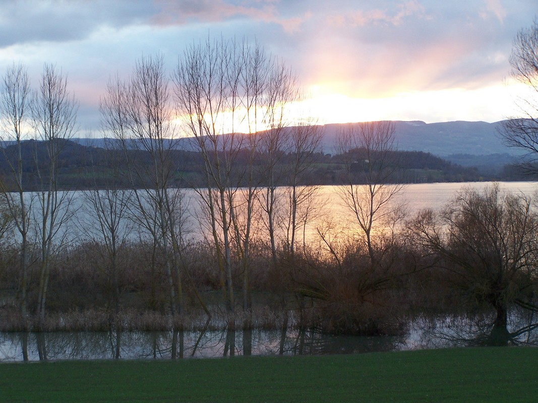 Agriturismo Poggio del Papa - Castiglione del lago - Perugia