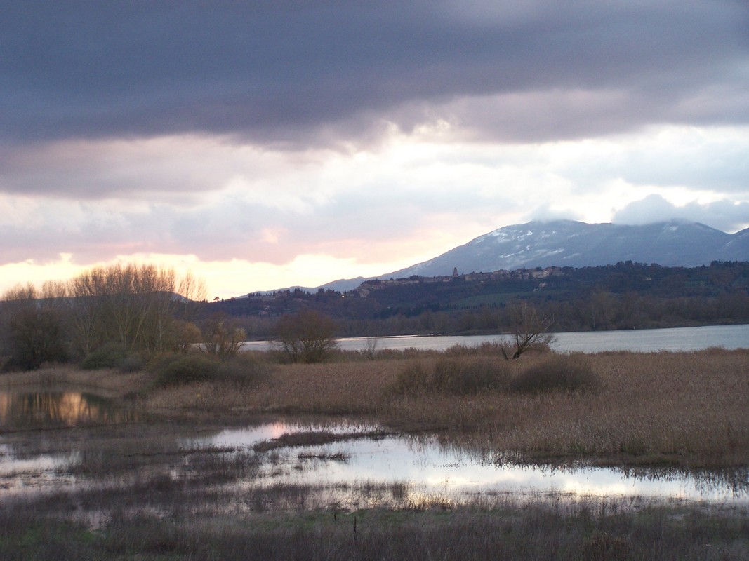 Agriturismo Poggio del Papa - Castiglione del lago - Perugia