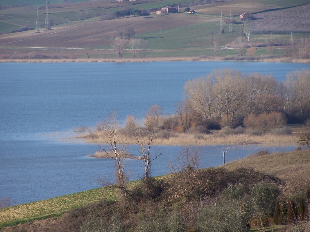 Agriturismo Poggio del Papa - Castiglione del lago - Perugia