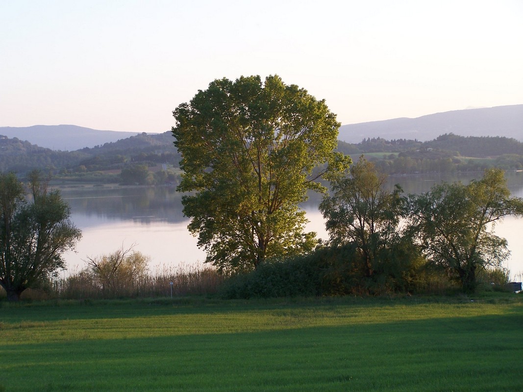 Agriturismo Poggio del Papa - Castiglione del lago - Perugia
