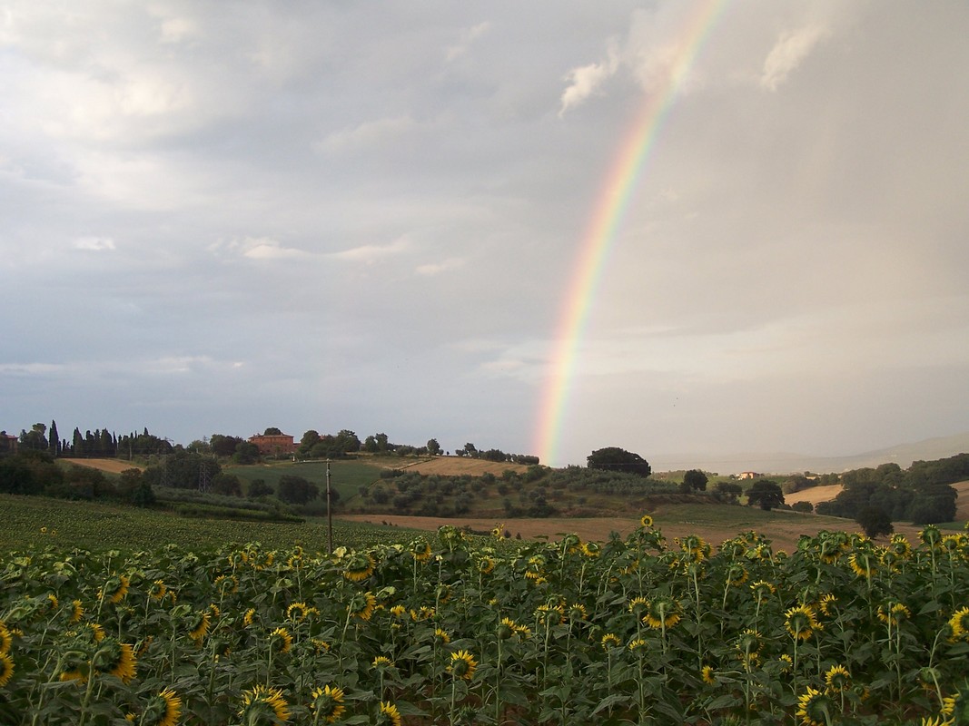 Agriturismo Poggio del Papa - Castiglione del lago - Perugia