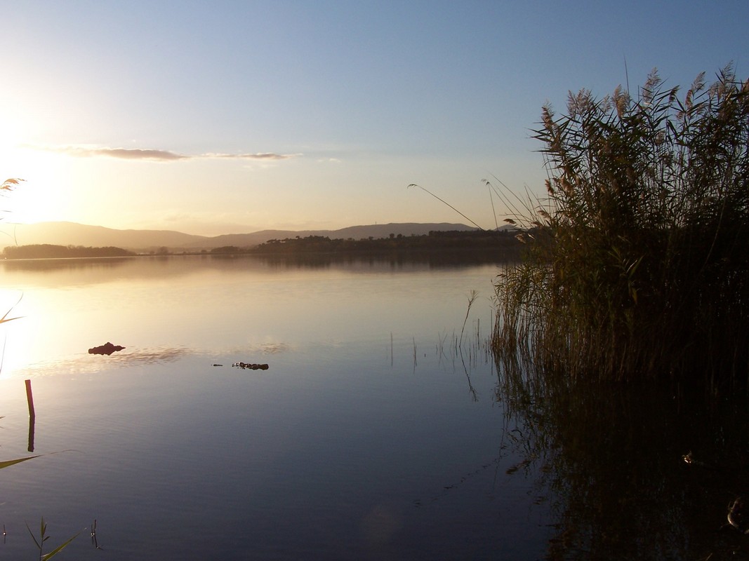 Agriturismo Poggio del Papa - Castiglione del lago - Perugia