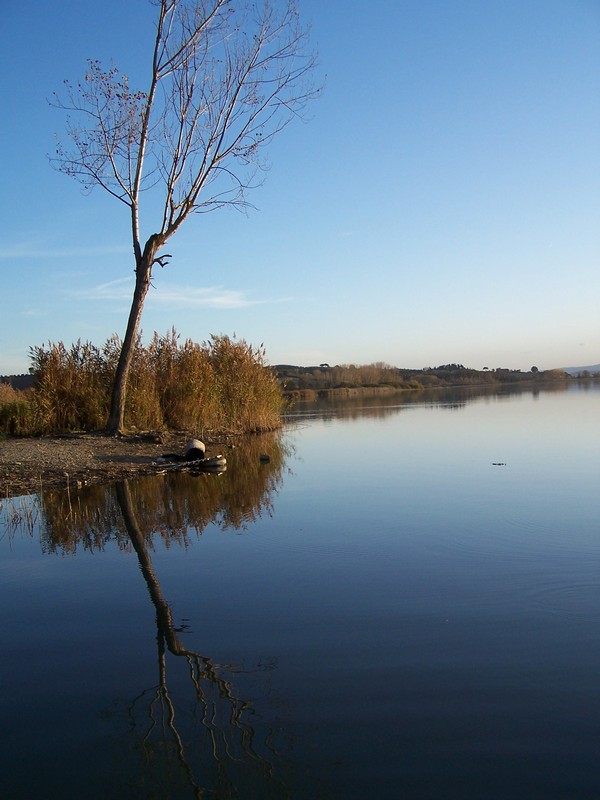 Agriturismo Poggio del Papa - Castiglione del lago - Perugia