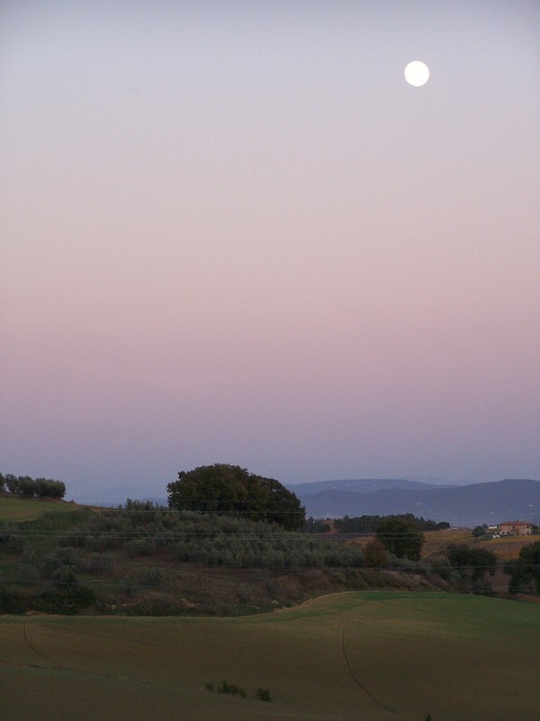 Agriturismo Poggio del Papa - Castiglione del lago - Perugia