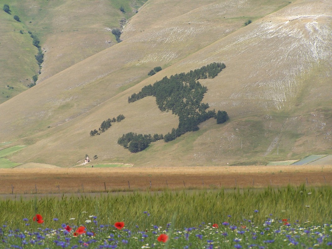 Agriturismo Poggio del Papa - Castiglione del lago - Perugia