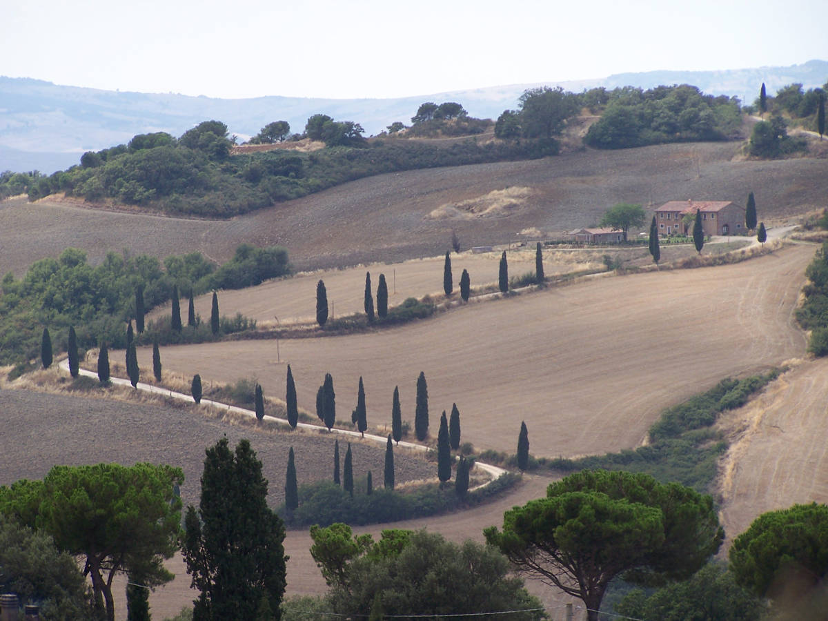 Agriturismo Poggio del Papa - Castiglione del lago - Perugia
