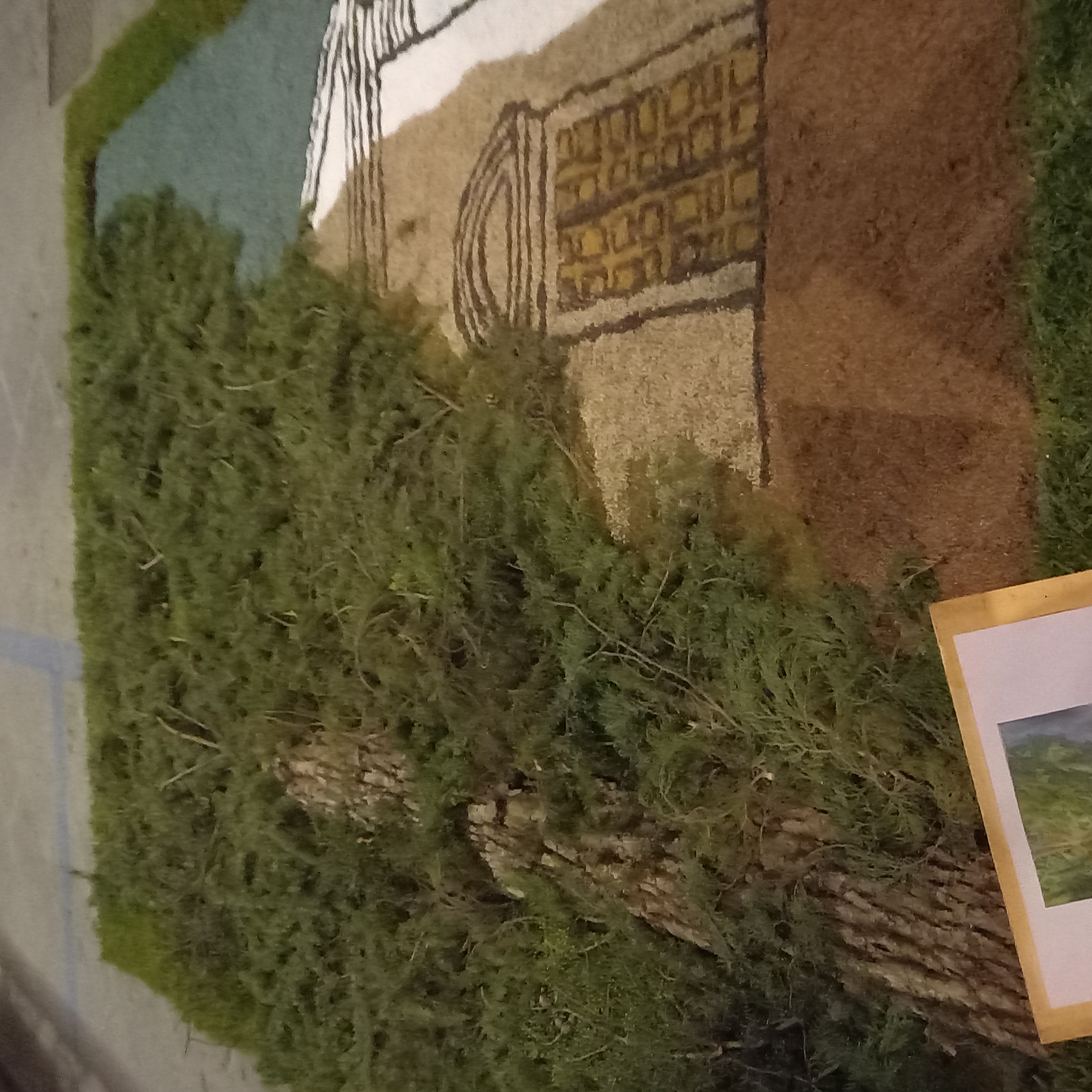 Infiorata 26-06-2022 18 Infiorata 26-06-2022 18