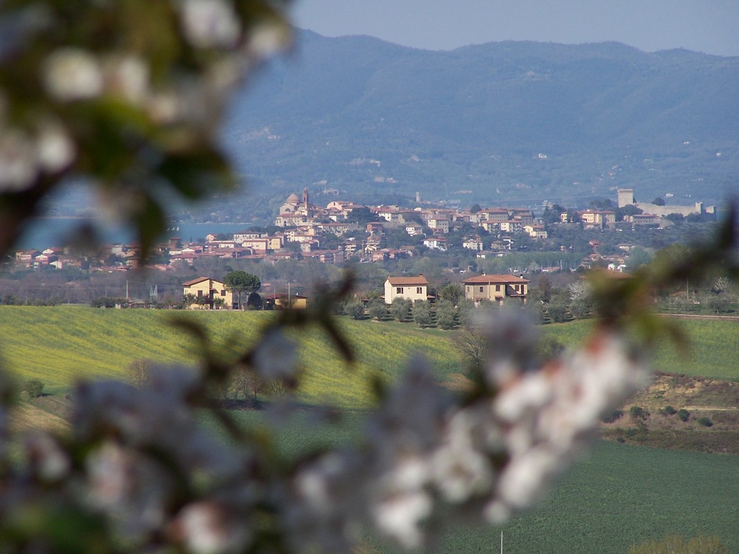 Lago Trasimeno